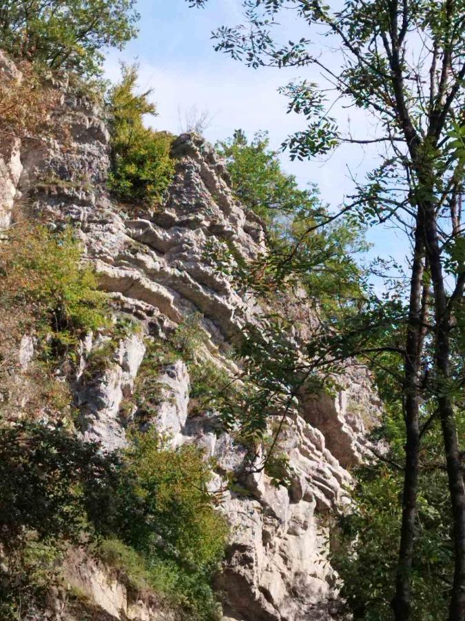 Durbuy Intimite Vintage Villa Buitenkant foto